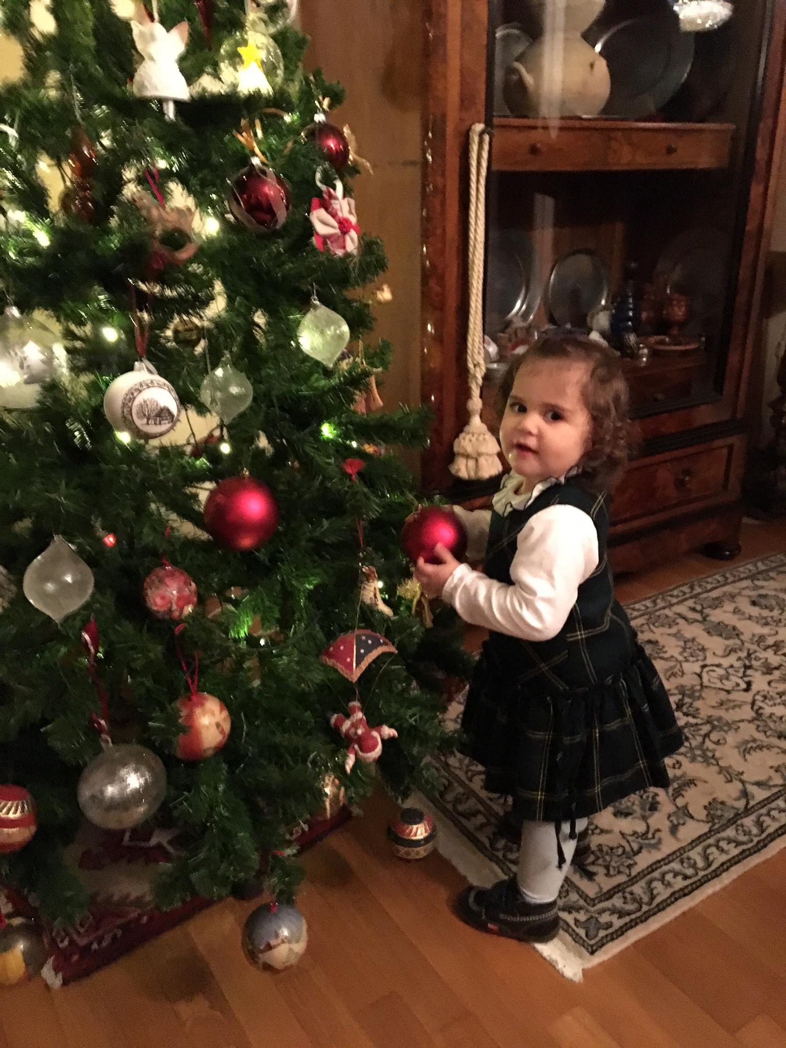 natale ludovica
